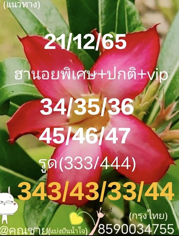 เลขเด็ดหวยฮานอย แนวทางหวยฮานอยวันนี้ 21 ธค 65
