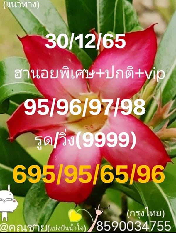 เลขเด็ดหวยฮานอย แนวทางหวยฮานอยวันนี้ 30 ธค 65