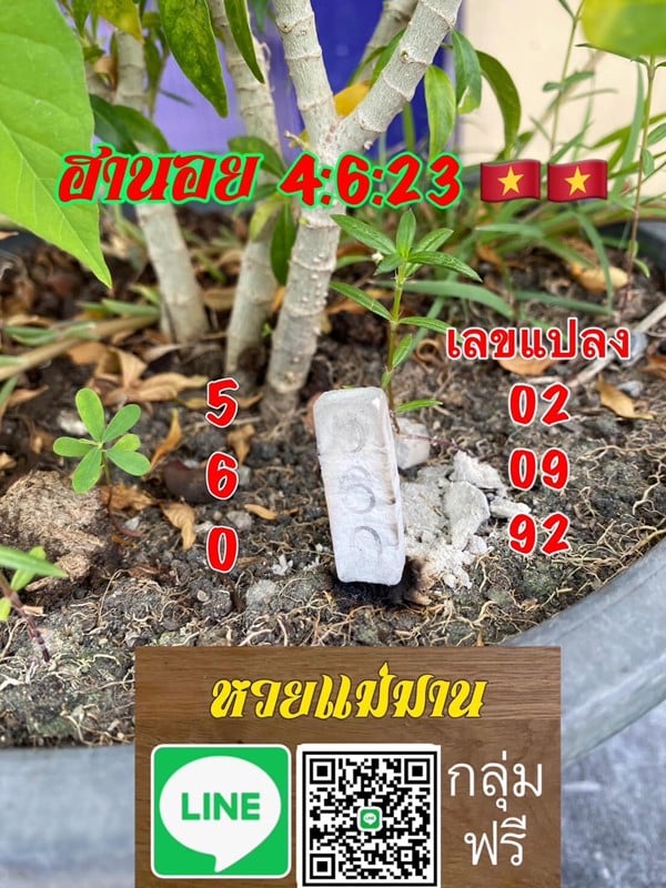 เลขเด็ดหวยฮานอย แนวทางหวยฮานอยวันนี้ 04 มิย 66