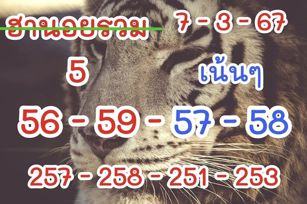 เลขเด็ดหวยฮานอย แนวทางหวยฮานอยวันนี้ 07 มีค 67